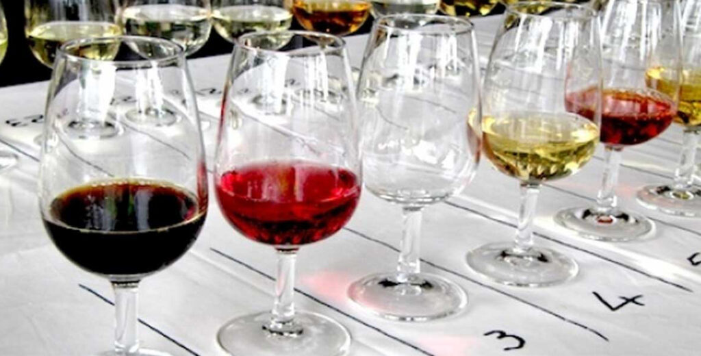 Glasses of wine waiting to be judged at a Wine Show